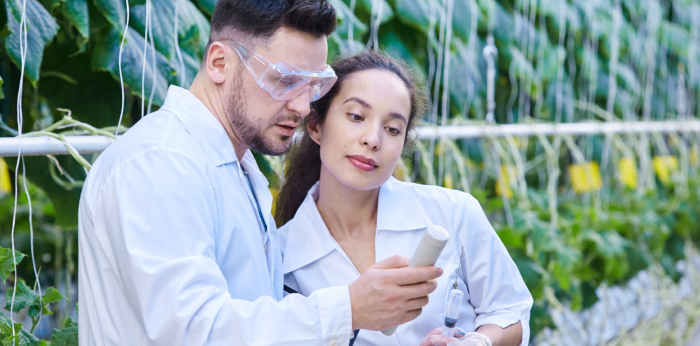 Healthcare Innovation in Modern Medicine